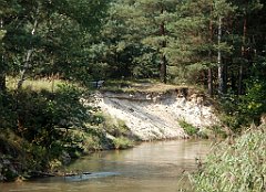 IMG_x18064_X44_P09010530_cr