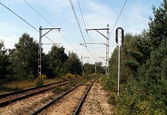 IMG_x18064_X44_P09010542_cr