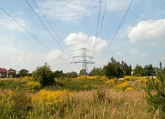 IMG_x18064_X44_P09010568_cr