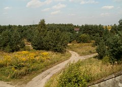 IMG_x18064_X44_P09010576_cr