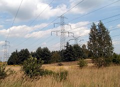 IMG_x18064_X44_P09010582_cr