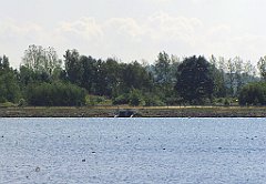IMG_x19098_cr