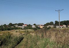IMG_x19332_cr