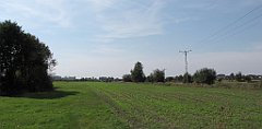 IMG_x19357_cr