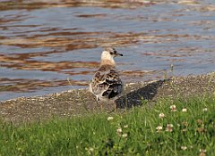 2012-07-02_19-24-20_IMG_x27240_cr