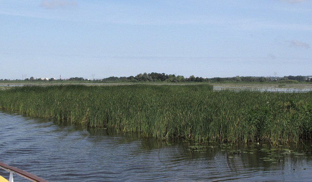 2012-07-02_09-33-10_IMG_x26801_cr.jpg -                                