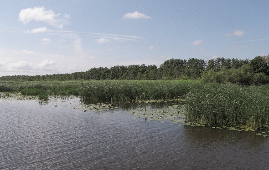 2012-07-02_09-33-43_IMG_x26804_cr.jpg -                                