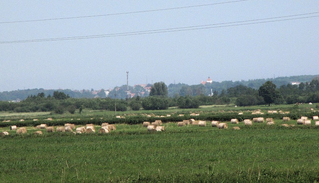 2012-07-02_10-15-20_IMG_x26808_cr.jpg -                                