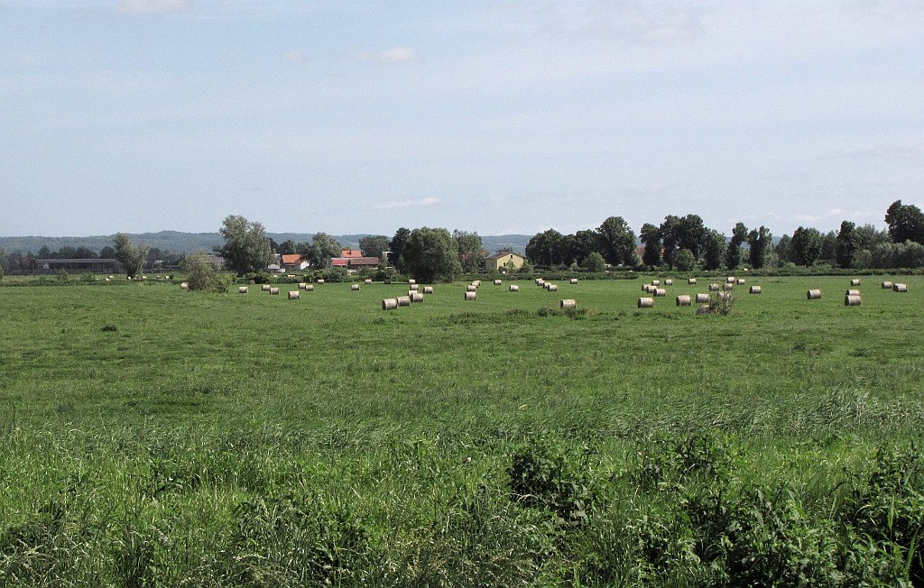 2012-07-02_10-18-43_IMG_x26816_cr.jpg -                                