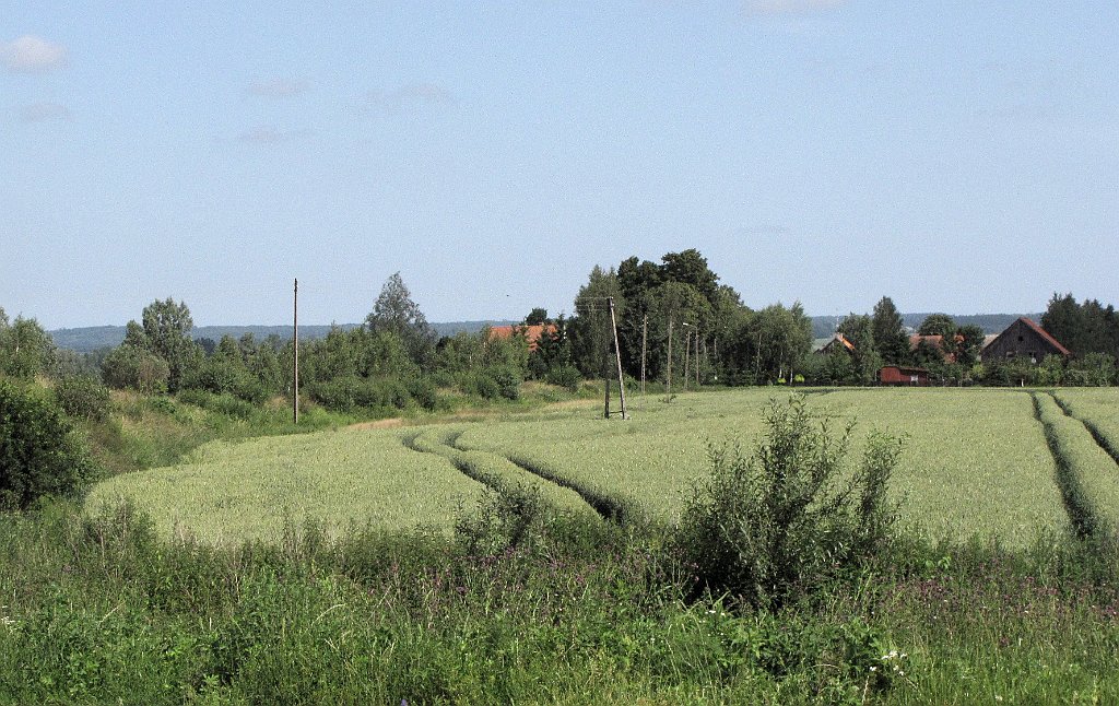 2012-07-02_10-22-09_IMG_x26824_cr.jpg -                                