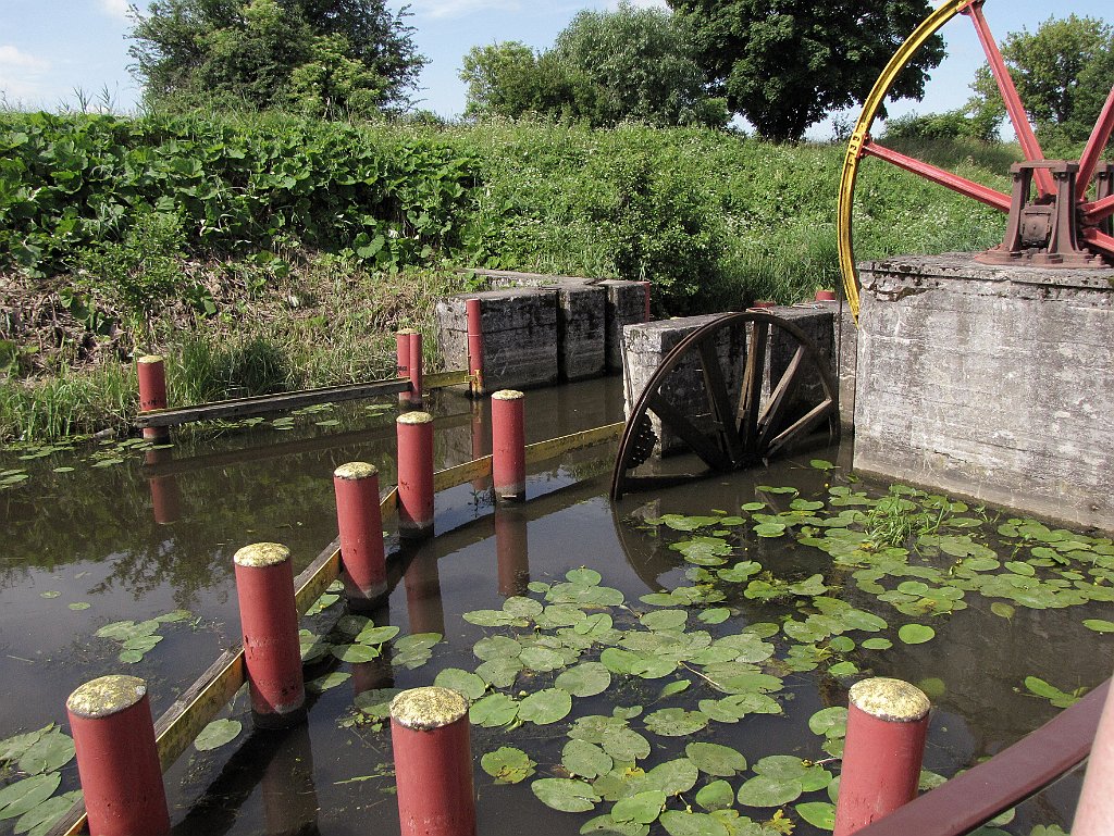 2012-07-02_10-44-03_IMG_x26842_cr.jpg -                                