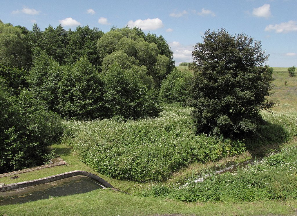 2012-07-02_11-54-56_IMG_x26979_cr.jpg -                                