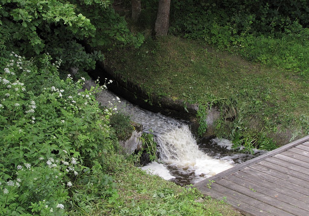 2012-07-02_13-07-13_IMG_x27009_cr.jpg -                                