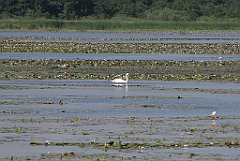 2012-07-02_09-25-47_IMG_x26783_cr