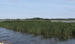 2012-07-02_09-33-10_IMG_x26801_cr