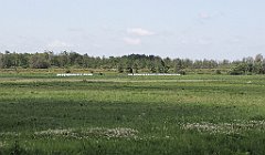 2012-07-02_10-15-56_IMG_x26810_cr