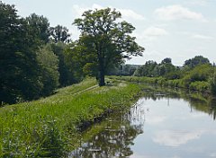 2012-07-02_11-02-14_P1060086_cr