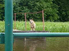 2012-07-02_12-41-47_P1060127_cr