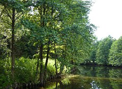 2012-07-02_15-23-38_P1060138_cr