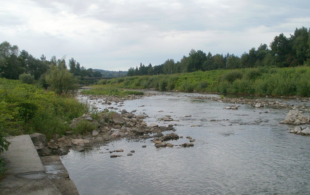 X44_P07110089_cr.jpg - OLYMPUS DIGITAL CAMERA         