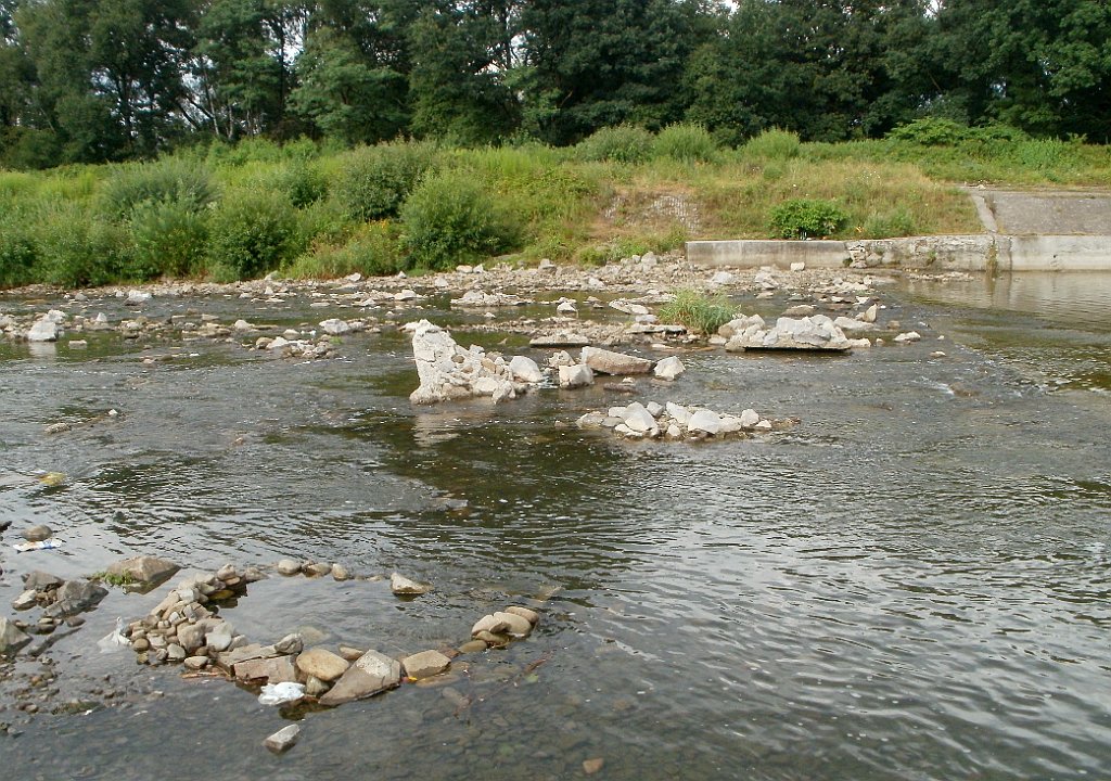 X44_P07110093_cr.jpg - OLYMPUS DIGITAL CAMERA         