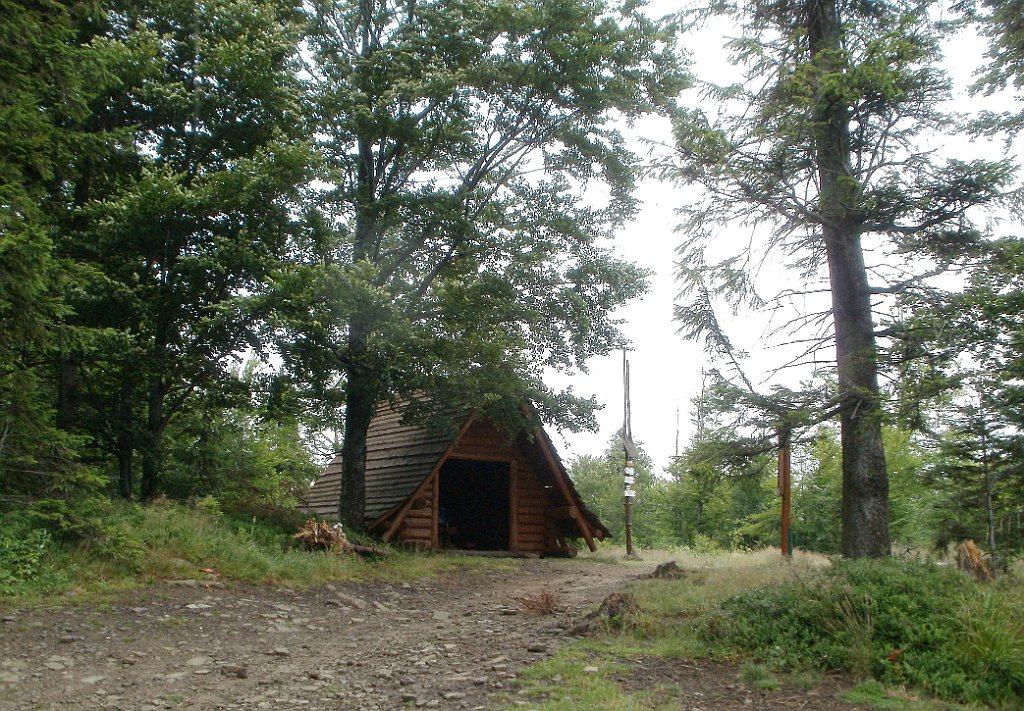 X44_P07130150_cr.jpg - OLYMPUS DIGITAL CAMERA         