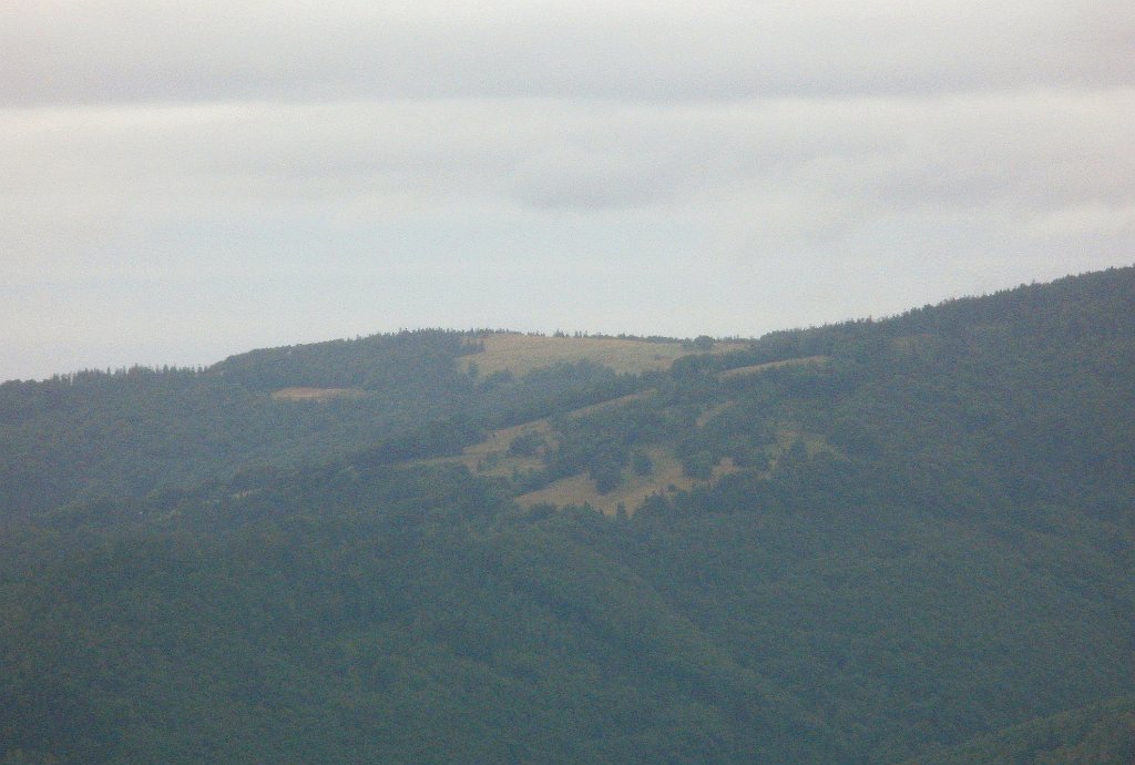 X44_P07130154_cr.jpg - OLYMPUS DIGITAL CAMERA         