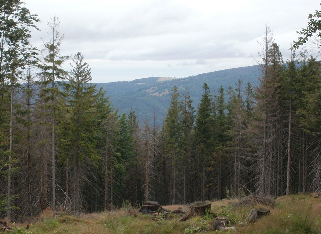 X44_P07130160_cr.jpg - OLYMPUS DIGITAL CAMERA         