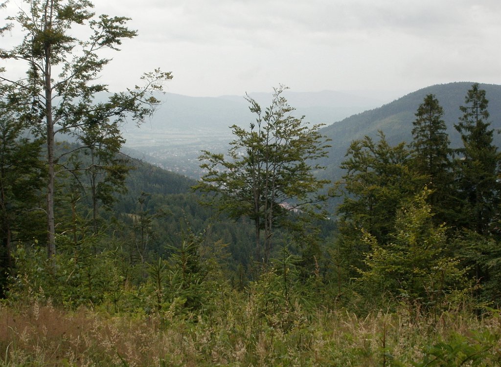 X44_P07130169_cr.jpg - OLYMPUS DIGITAL CAMERA         