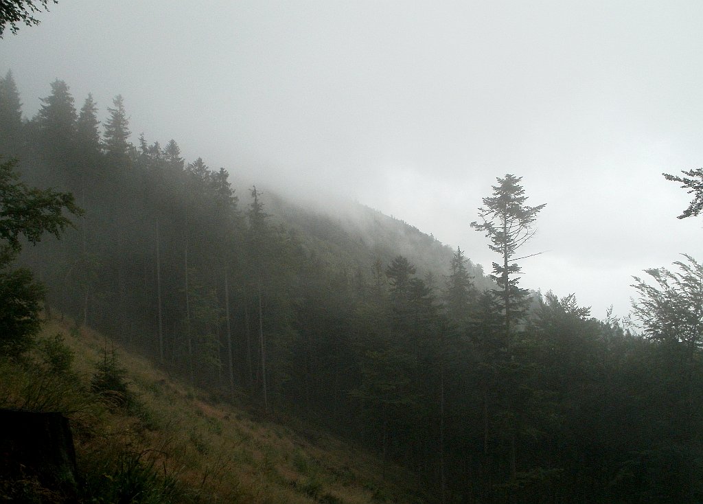 X44_P07130209_cr.jpg - OLYMPUS DIGITAL CAMERA         