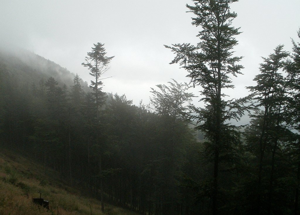 X44_P07130210_cr.jpg - OLYMPUS DIGITAL CAMERA         