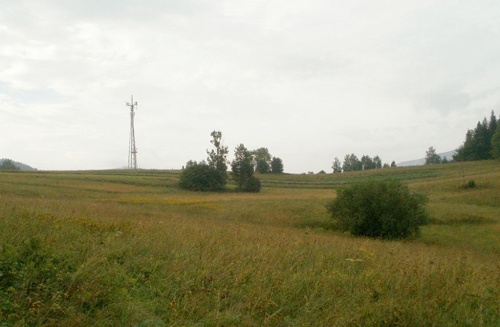 IMG_x28736_X44_P07300003_cr.jpg - OLYMPUS DIGITAL CAMERA         