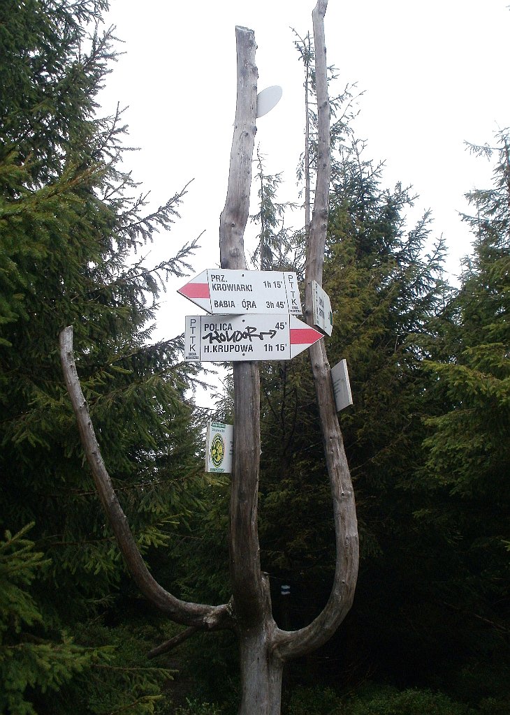 IMG_x29812_X44_P08150242_cr.jpg - OLYMPUS DIGITAL CAMERA         