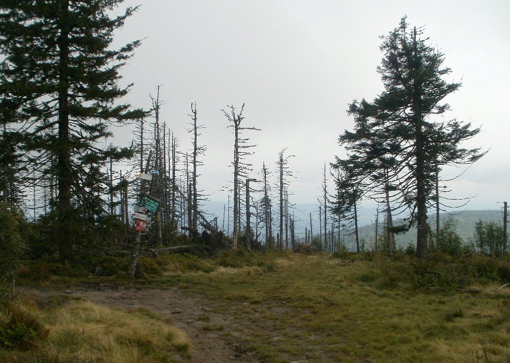 IMG_x29814_X44_P08150264_cr.jpg - OLYMPUS DIGITAL CAMERA         