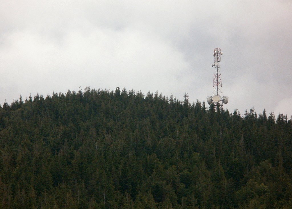 IMG_x29814_X44_P08150290_cr.jpg - OLYMPUS DIGITAL CAMERA         