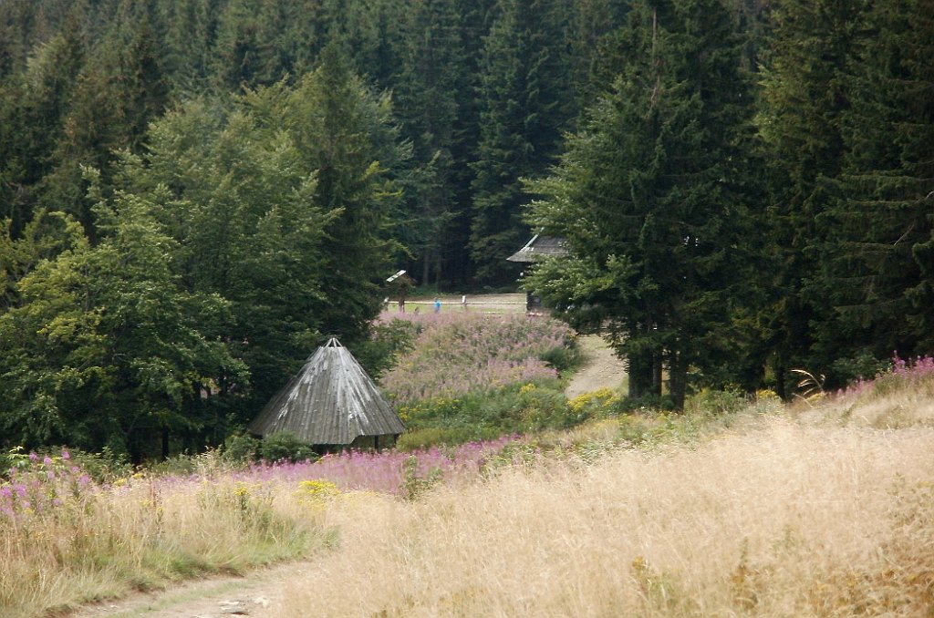 IMG_x29814_X44_P08150309_cr.jpg - OLYMPUS DIGITAL CAMERA         