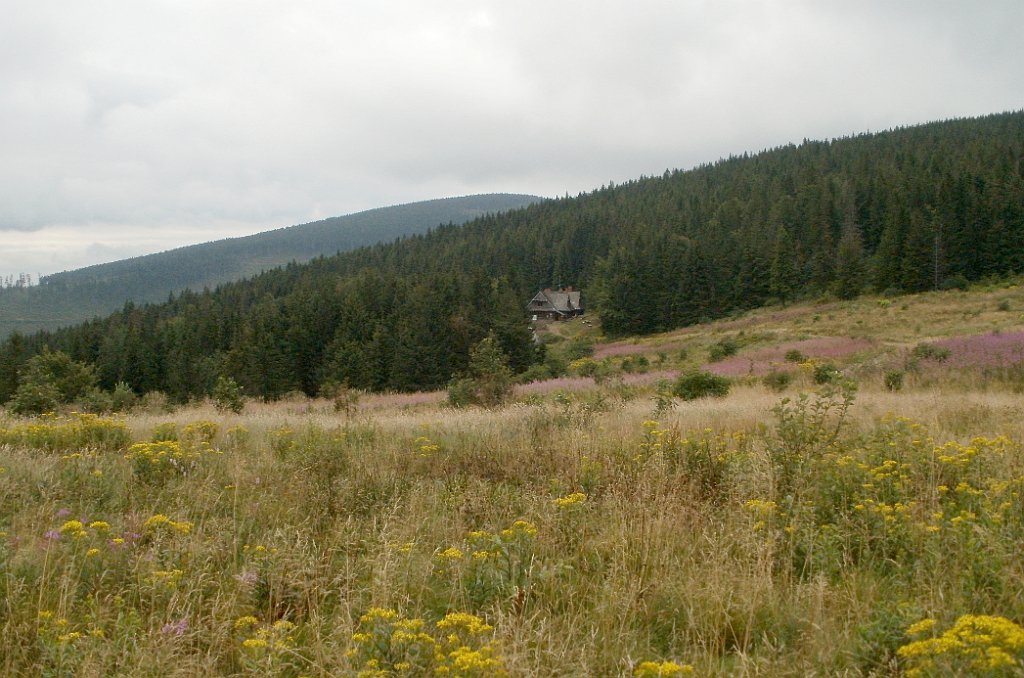 IMG_x29814_X44_P08150310_cr.jpg - OLYMPUS DIGITAL CAMERA         