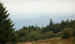 IMG_x29814_X44_P08150280_cr