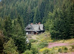 IMG_x29814_X44_P08150311_cr