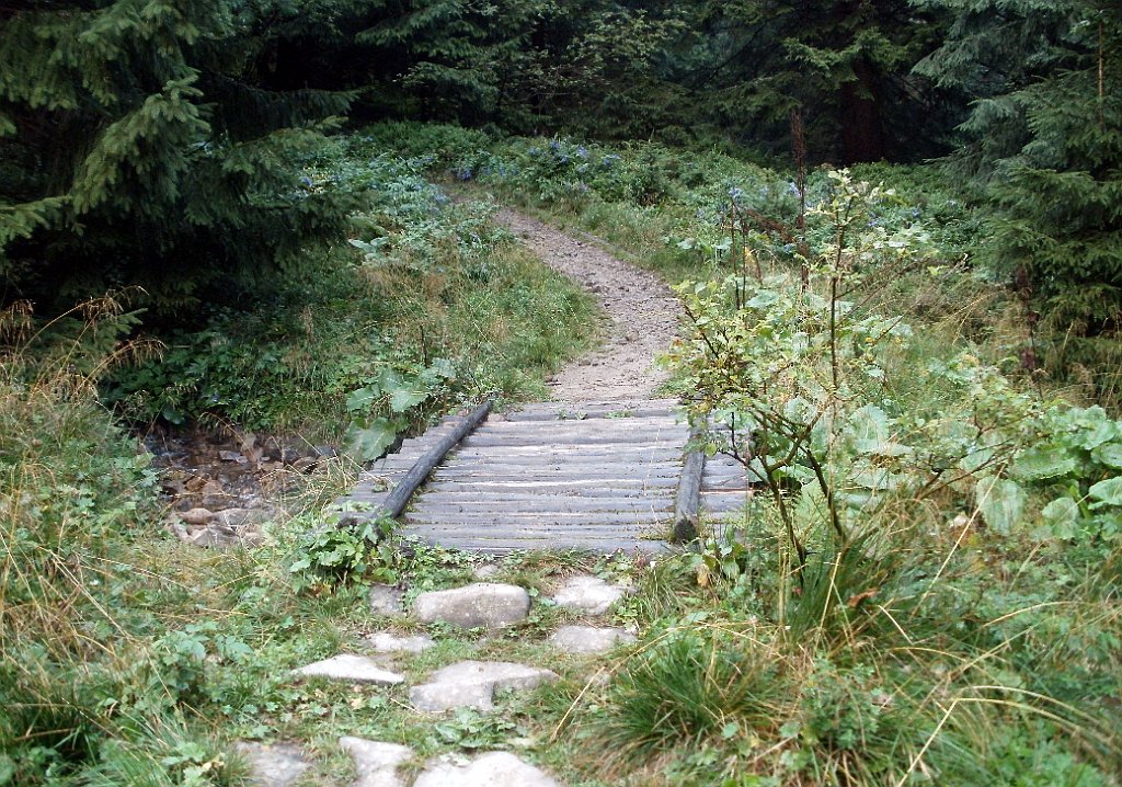 X44_P08230338_cr.jpg - OLYMPUS DIGITAL CAMERA         