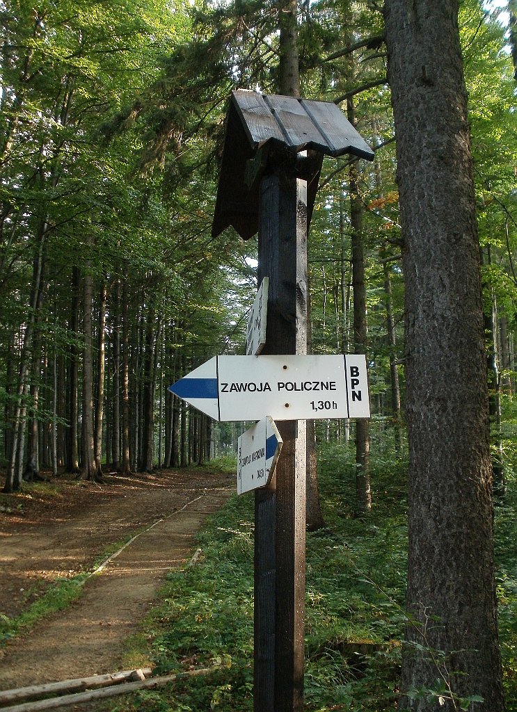 X44_P08230346_cr.jpg - OLYMPUS DIGITAL CAMERA         