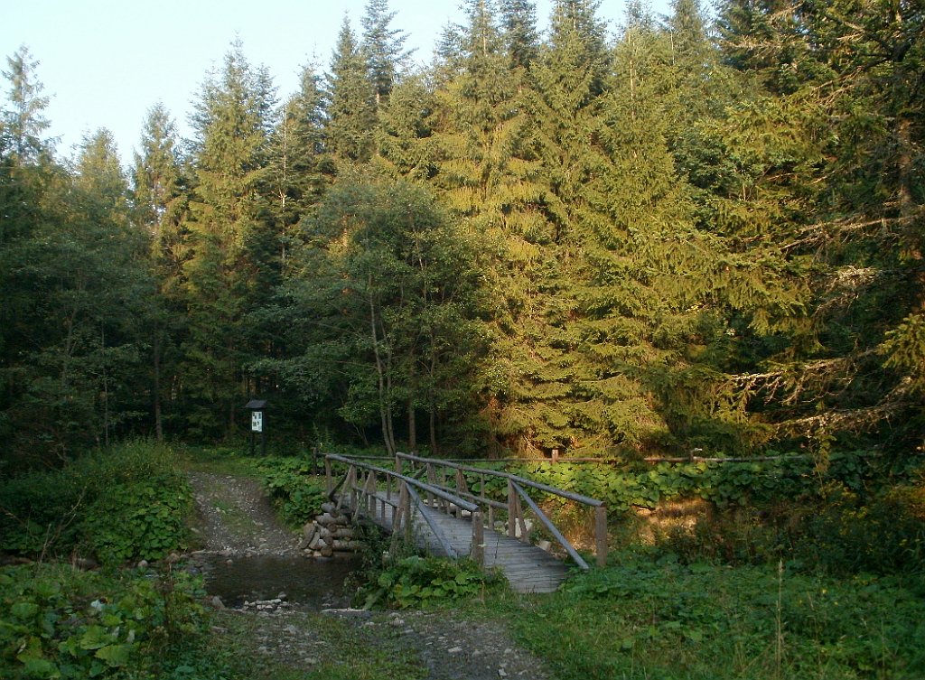 X44_P08230351_cr.jpg - OLYMPUS DIGITAL CAMERA         