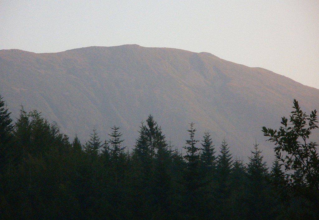 X44_P08230367_cr.jpg - OLYMPUS DIGITAL CAMERA         