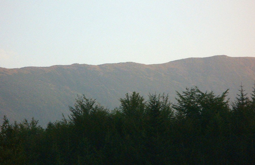 X44_P08230369_cr.jpg - OLYMPUS DIGITAL CAMERA         