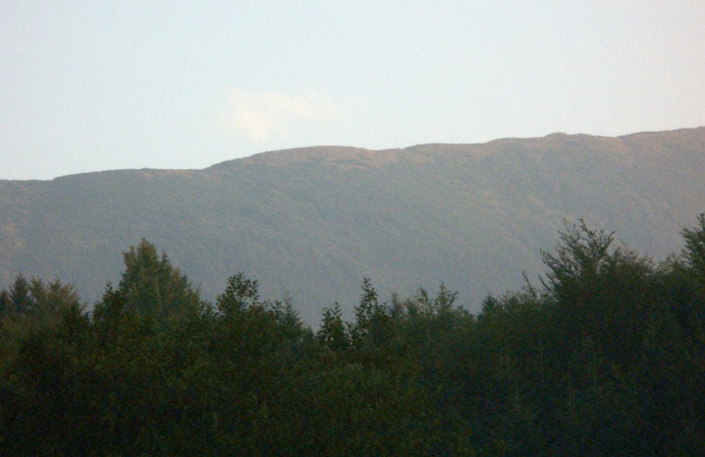 X44_P08230370_cr.jpg - OLYMPUS DIGITAL CAMERA         