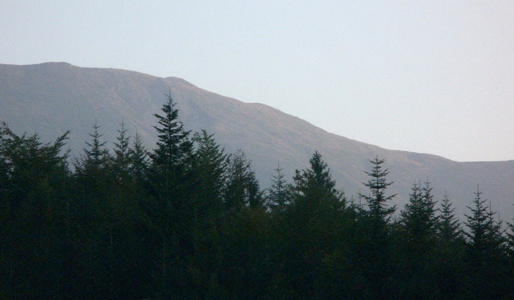 X44_P08230371_cr.jpg - OLYMPUS DIGITAL CAMERA         