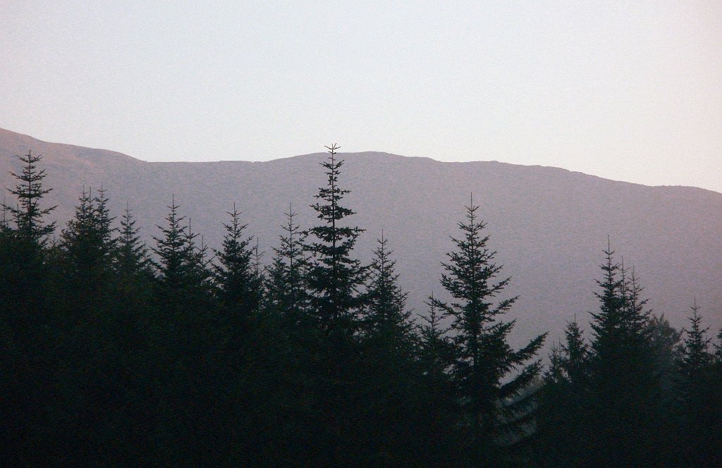 X44_P08230372_cr.jpg - OLYMPUS DIGITAL CAMERA         