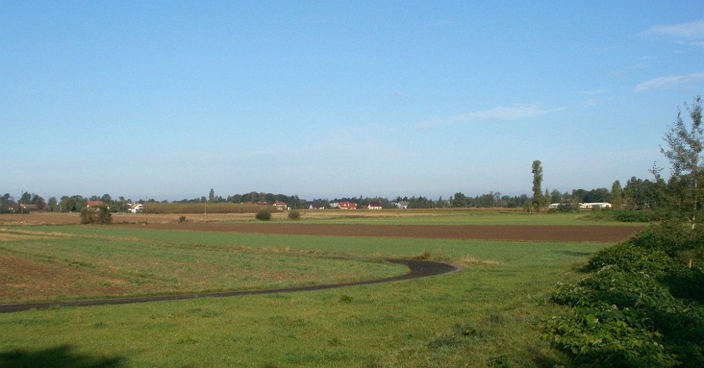 IMG_x33700_X44_P09230868_cr.jpg - OLYMPUS DIGITAL CAMERA         