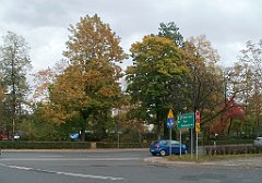 IMG_x35159_X44_P10010878_cr