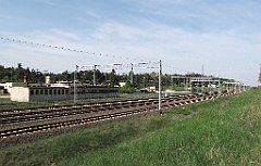 IMG_x37836_cr